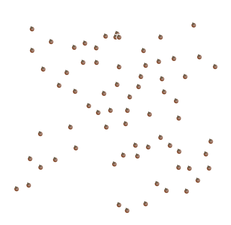 アルセウス ぼんぐり きのみ たまいし素材の場所マップ ポケモン徹底攻略 アルセウス ぼんぐり きのみ たまいし素材の場所マップ ポケモン徹底攻略