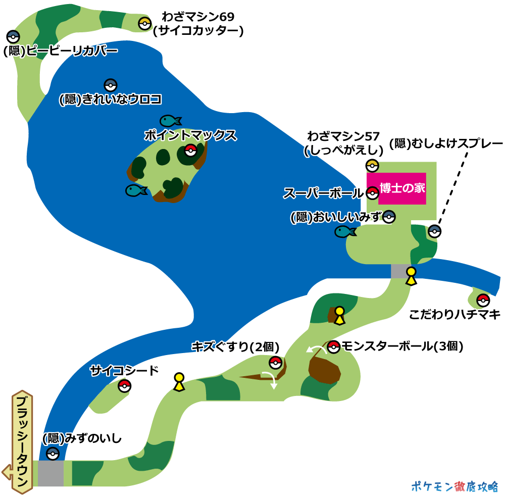 2番道路 出現ポケモンとマップ 剣盾攻略 ポケモン徹底攻略 2番道路 出現ポケモンとマップ 剣盾攻略 ポケモン徹底攻略