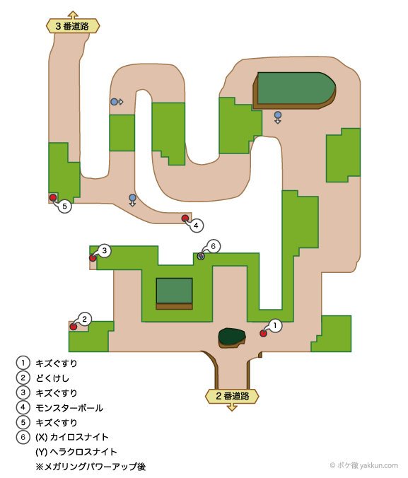 ハクダンの森 ポケモンxyマップ画像 ポケモン徹底攻略